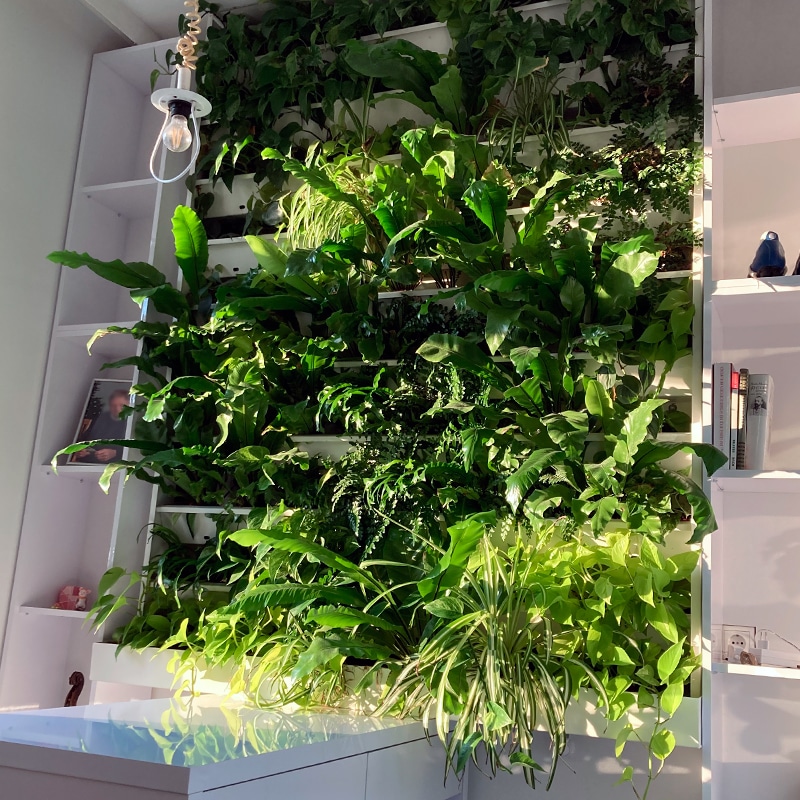 gruenwand.com - Referenz Indoor